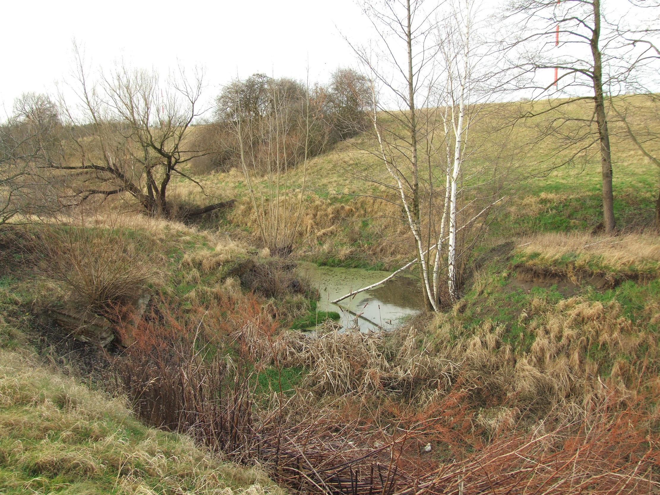 Lacza-1 Izolacje przemysłowe - województwo lubuskie